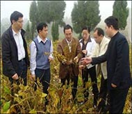 时任四川省农业厅副厅长牟锦毅考察指导我院大豆新品种南豆12新品种示范
