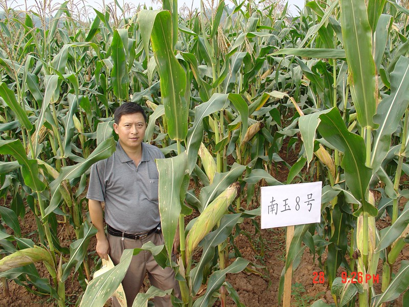 四川省学术技术和带头人后备人选玉米专家  郑祖平